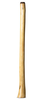 CrookedStixz Didgeridoo (AH405)